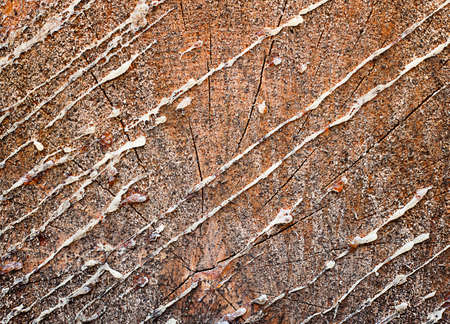 resin stains on wood
