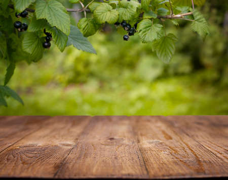 empty wooden table on the background of the garden with currants
