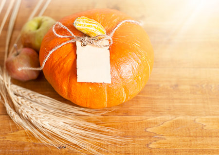 pumpkin with an empty tag, spikelets and apples on a wooden table in the rays of lightの写真素材