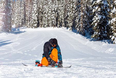 snowboarder fastens bindings sitting on the snow against the backdrop of the forestの写真素材