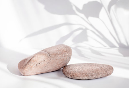 Two brown stones on a light background with shadowsの写真素材