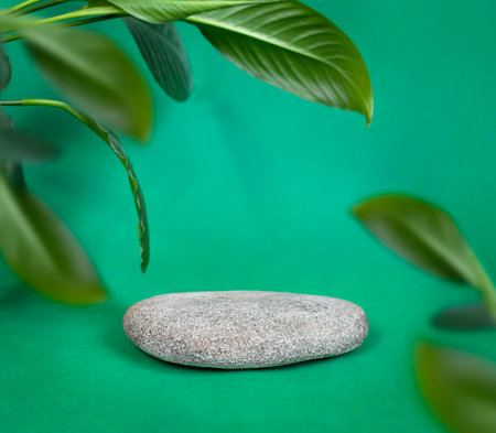 A green background with a stone in the foreground and a plant in the background.