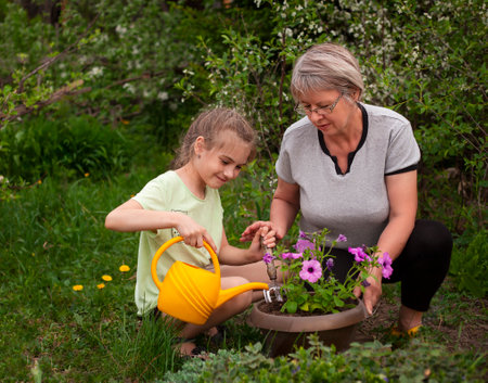 Grandmother and granddaughter planting flowers in the garden on a summer dayの写真素材