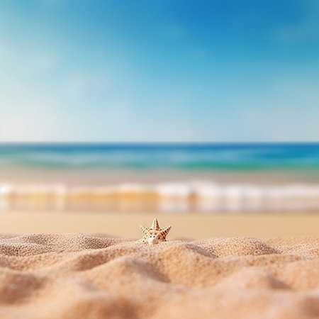Starfish on the beach with copy spaces. vacation and travel conceptの素材