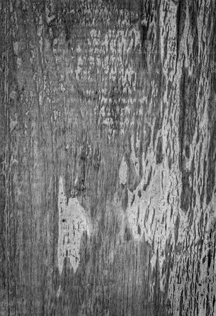 Background texture of old wood. Abstract grunge background for design.の写真素材