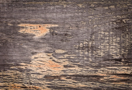 Background texture of old wood. Floor surface with old natural patternの写真素材