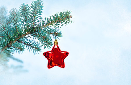 Christmas tree branch with red star on blue background with copy space.