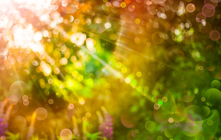 Blurred green background with bokeh lights and sun rays. Abstract nature background.の写真素材