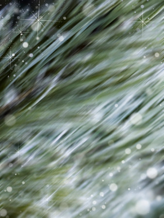 Winter background with snowflakes and grass. Blurred image.の写真素材