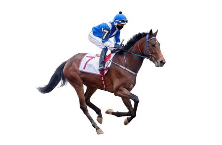 horse jockey racing isolated on white backgroundの写真素材