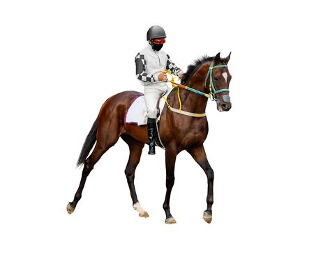 horse jockey racing isolated on white backgroundの写真素材
