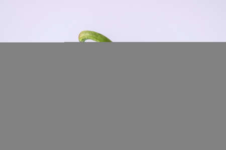 Fresh green bell pepper (capsicum) on a white backgroundの写真素材