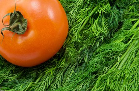 fresh tomato and fresh dillの写真素材