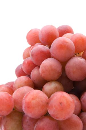 vine grapes isolated on the white background