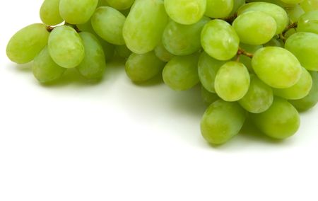 green vine grapes isolated on the white backgroundの写真素材