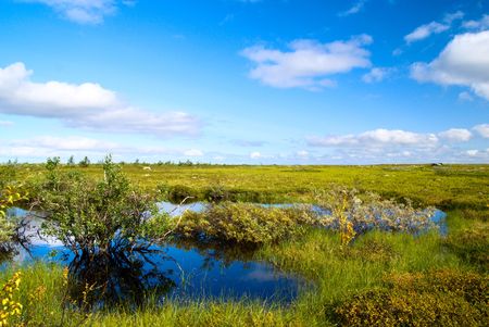 north mountain tundra and small lakeの写真素材