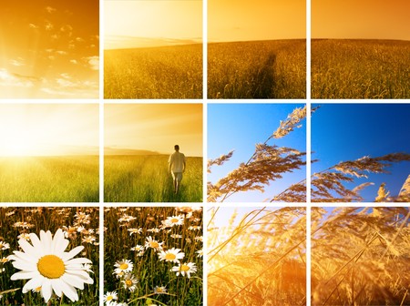 collage of summer photos young man and sunsetの写真素材