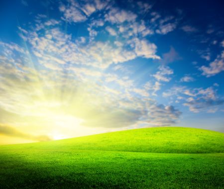 field of grass and sunsetの写真素材