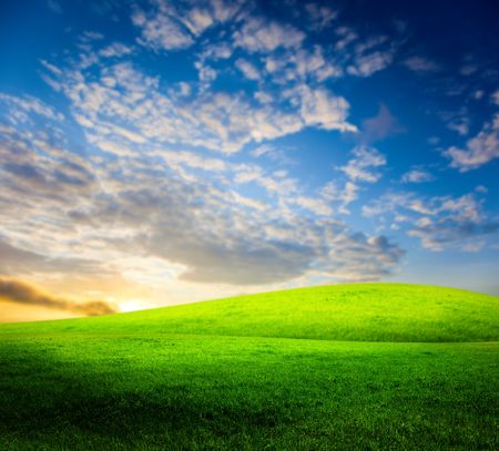 field of grass and sunsetの写真素材