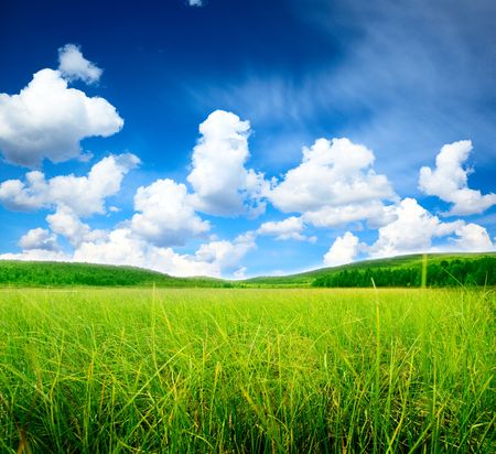 north mountains and green grassの写真素材