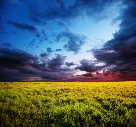 field of grass and sunsetの写真素材