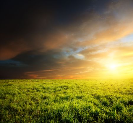 field of grass and sunsetの写真素材