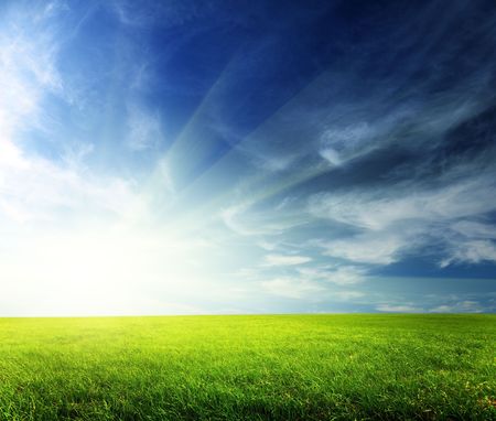 field of spring grass and sunsetの写真素材