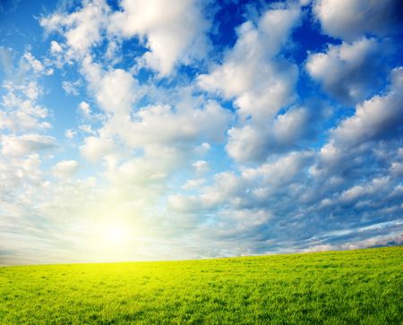 field of spring grass and sunsetの写真素材