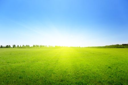 spring green field of grassの写真素材