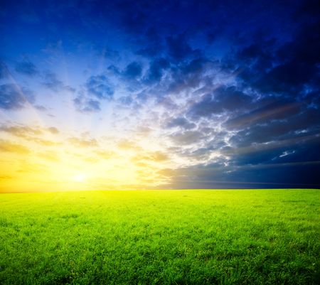 field of grass and sunsetの写真素材