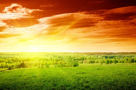 spring green field of grass and sunsetの写真素材