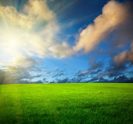 field of spring grass and sunsetの写真素材