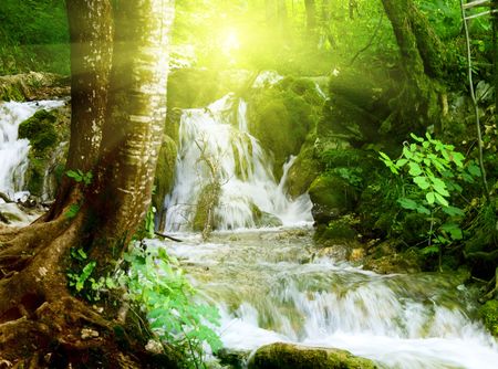 waterfall in deep forestの写真素材