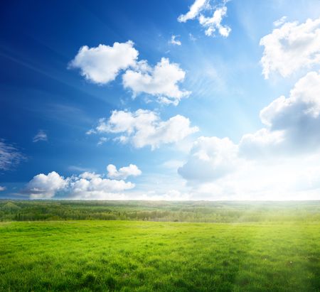 field of spring grass and sunsetの写真素材