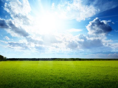 spring day and green fieldの写真素材