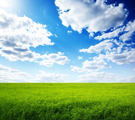 summer field of green grass and perfect blue skyの写真素材