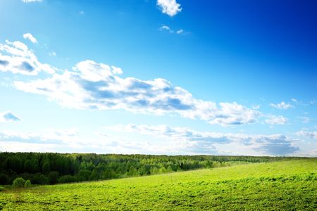spring field of grass and blured skyの写真素材