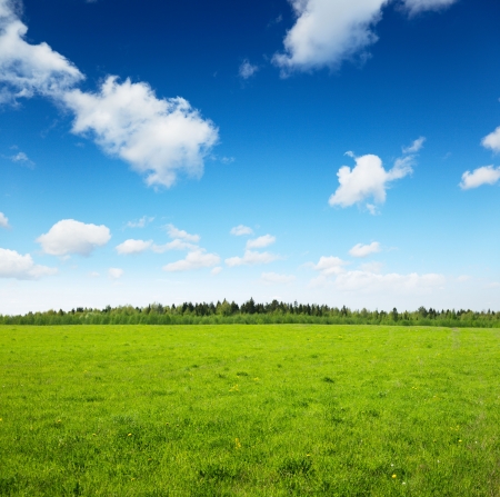 spring field and sky