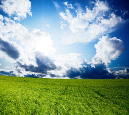 spring day and green fieldの写真素材