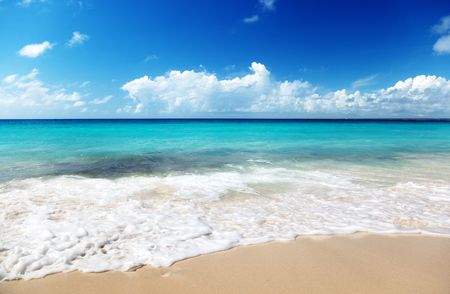 sand of beach caribbean seaの写真素材