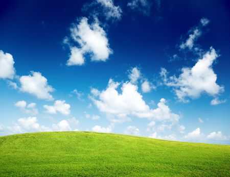 green field and blue skyの写真素材