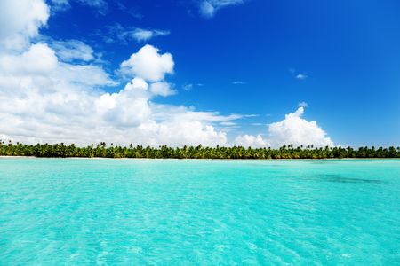 caribbean sea and palmsの写真素材