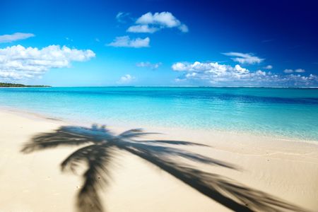 shadow of coconut palm and Caribbean seaの写真素材