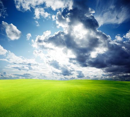 field of grass and perfect blue skyの写真素材