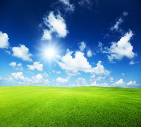 field of grass and perfect blue skyの写真素材
