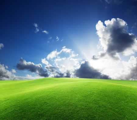 field of grass and perfect blue skyの写真素材