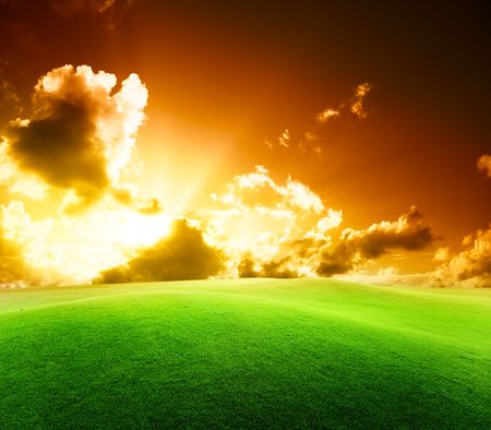 field of grass and perfect sunsetの写真素材