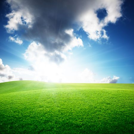 field of grass and perfect skyの写真素材