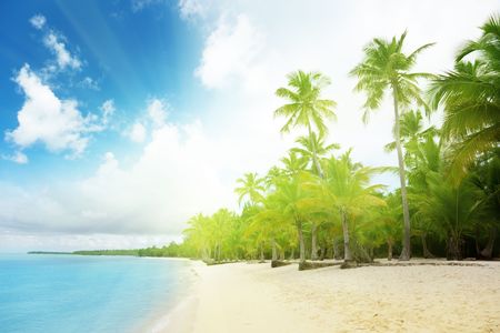 caribbean sea and palmsの写真素材