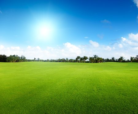 green field and treesの写真素材